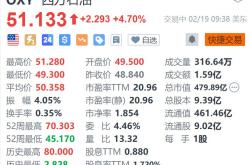 西方石油(OXY.US)四季度业绩及资产剥离：产量提升与亏损并存的复杂局面